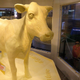 Image for article titled Canadians Are Rightly (and Politely) Outraged Over Their Crappy Pandemic Butter